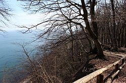 Jasmund National Park (Rügen)